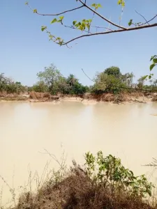 Terreno para construção À venda 0000 Brikama Gambia  DE