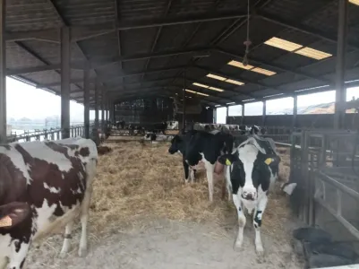 Fazenda À venda 54000 GRAFIGNY FR