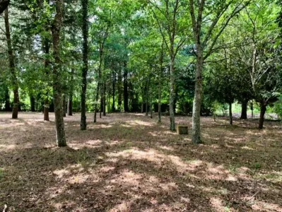 Terreno para construção À venda 3300 Arganil PT